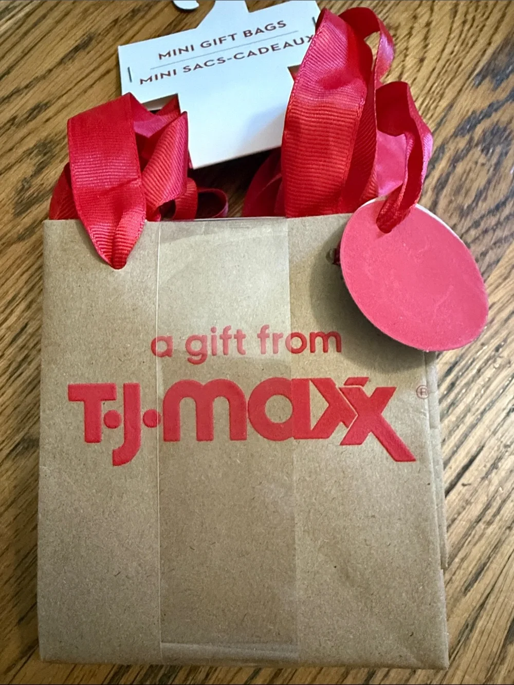 Tic Toc  Viral T.J.Maxx Mini Gift Bags with Red Logo & Red Ribbon Handles